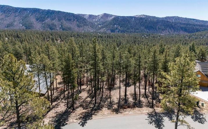 Pictures of Land property located at 192 Cabin Creek 49, Durango, CO 81301 for sales - image #1