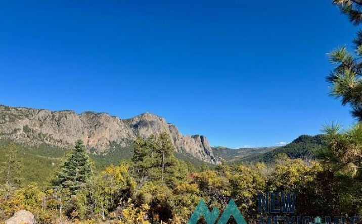 Pictures of Land property located at TBD Private Drive 1754-A Branch, Chama, NM 87520 for sales - image #1