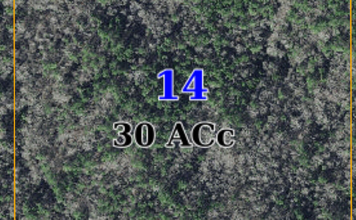 Pictures of Land property located at Watkins Rd, DeKalb, MS 39328 for sales - image #1