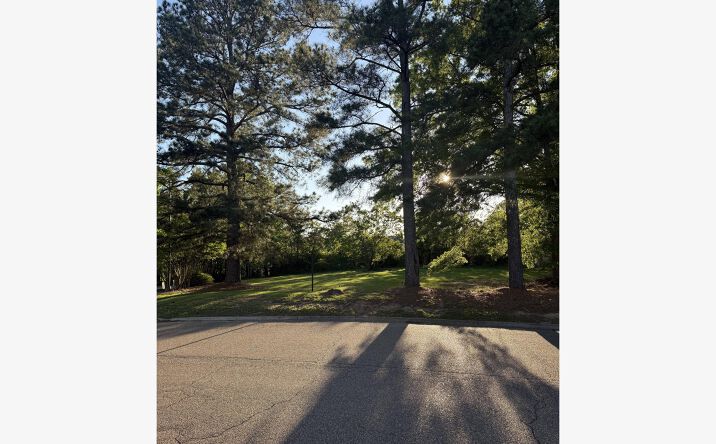 Pictures of Land property located at 216 Key Dr, Madison, MS 39110 for sales - image #1