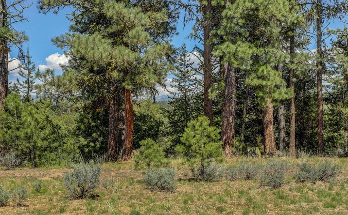 Pictures of Land property located at 8 Targhee Ct, McCall, ID 83638 for sales - image #1