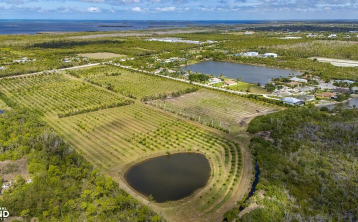 Pictures of Land property located at 9150 Stringfellow Road, Saint James City, FL 33956 for sales - image #1