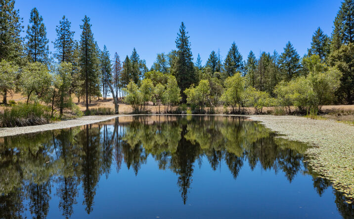 Pictures of Land property located at 58380 California 162, Covelo, CA 95428 for sales - image #1