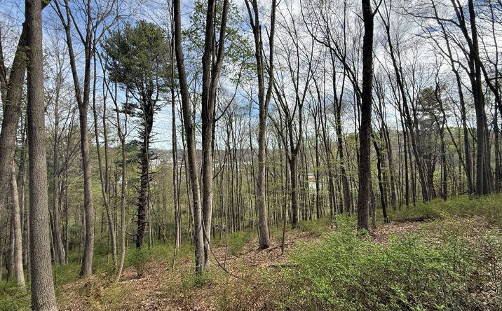 Pictures of Land, Multifamily property located at TBD Holly St, Galax, VA 24333 for sales - image #1