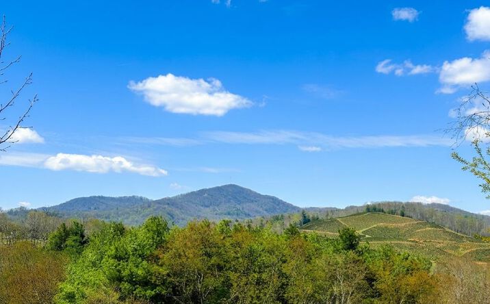 Pictures of Land, Multifamily property located at TBD N Independence Avenue, Independence, VA 24348 for sales - image #1