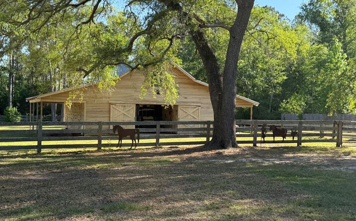 Pictures of Land property located at 5351 Coppage Rd, Hahira, GA 31632 for sales - image #1