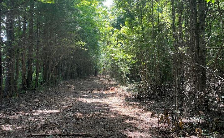 Pictures of Land property located at Cleo Clark Rd, Canton, MS 39046 for sales - image #1