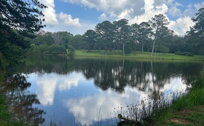 Pictures of Land property located at 227 12 Oaks Trace, Canton, MS 39046 for sales - image #1