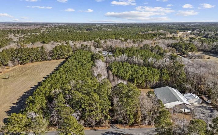 Pictures of Land property located at Lot 3 Howard Lane, 115824, SC 29566 for sales - image #1