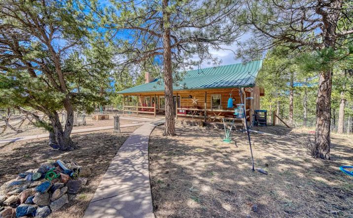 Pictures of Land property located at 4701 County Road 323, 17503, CO 81252 for sales - image #1