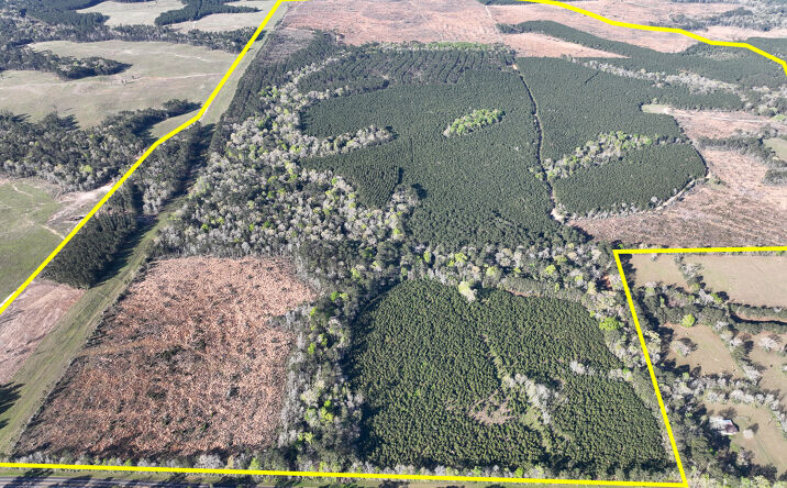 Pictures of Land property located at Granbury Road, Livingston, TX 77351 for sales - image #1