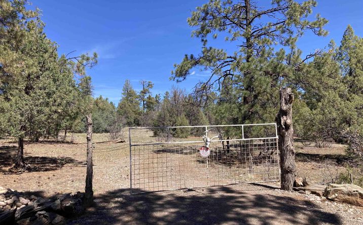 Pictures of Land property located at TBD Doe Rim Drive, Rutheron, NM 87551 for sales - image #1
