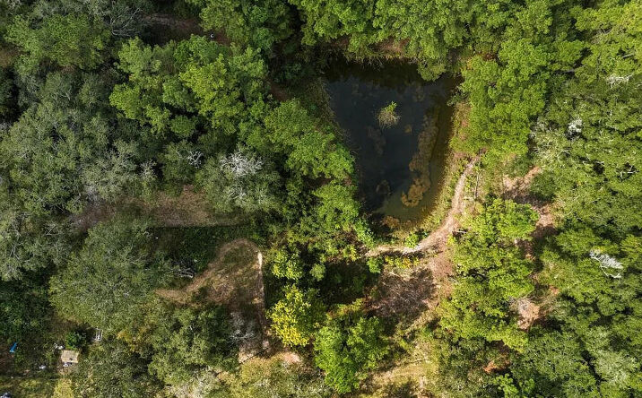 Pictures of Land property located at 1886 Gentlebreeze Rd, Middleburg, FL 32068 for sales - image #1