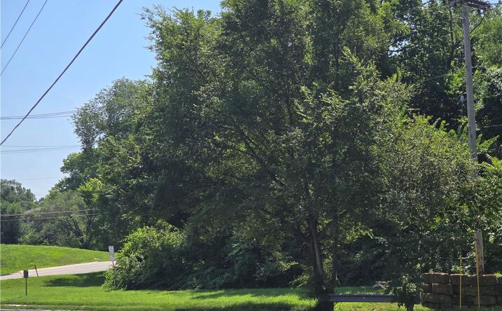 Pictures of Land, Multifamily property located at 601 E 85th Street, Kansas City, MO 64131 for sales - image #1