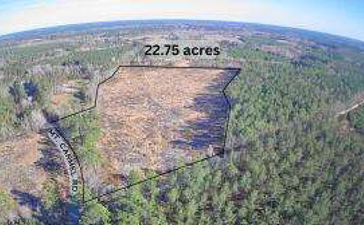 Pictures of Land property located at Tbd E Mt Carmel Road, Walterboro, SC 29488 for sales - image #1
