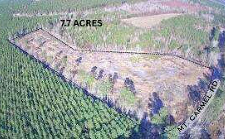 Pictures of Land property located at Tbd W Mt Carmel Road, Walterboro, SC 29488 for sales - image #1