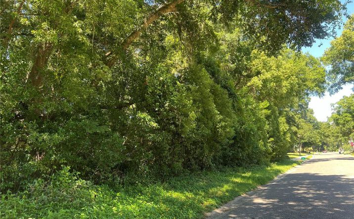 Pictures of Land property located at 426 W Michigan Ave, Lake Helen, FL 32744 for sales - image #1