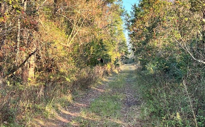 Pictures of Land property located at Deland Crossings, DeLand, FL 32724 for sales - image #1
