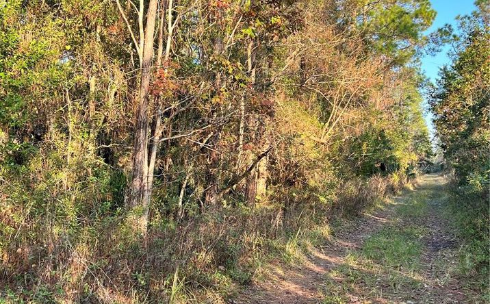 Pictures of Land property located at University Highlands/Deland Crossings, DeLand, FL 32724 for sales - image #1