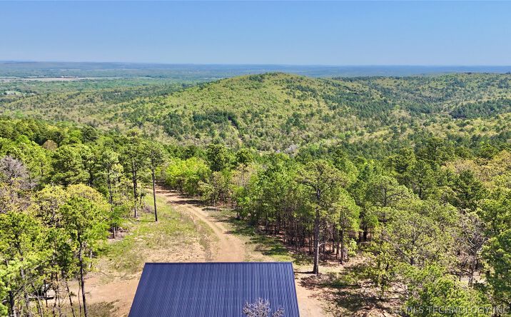 Pictures of Land property located at W 1330 Road, Kinta, OK 74552 for sales - image #1