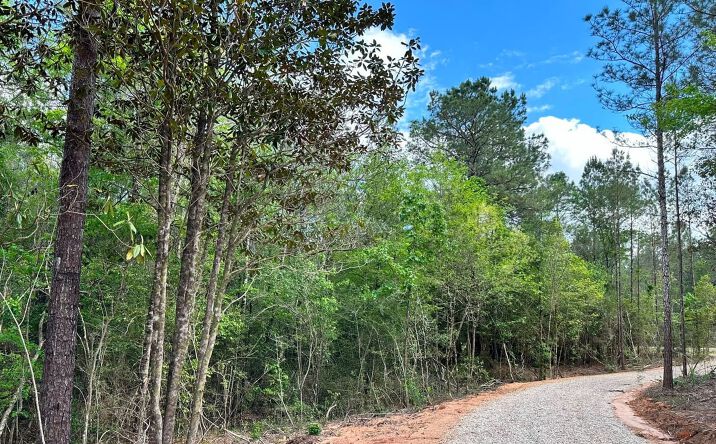 Pictures of Land property located at 5005 Highway 26, Wiggins, MS 39577 for sales - image #1