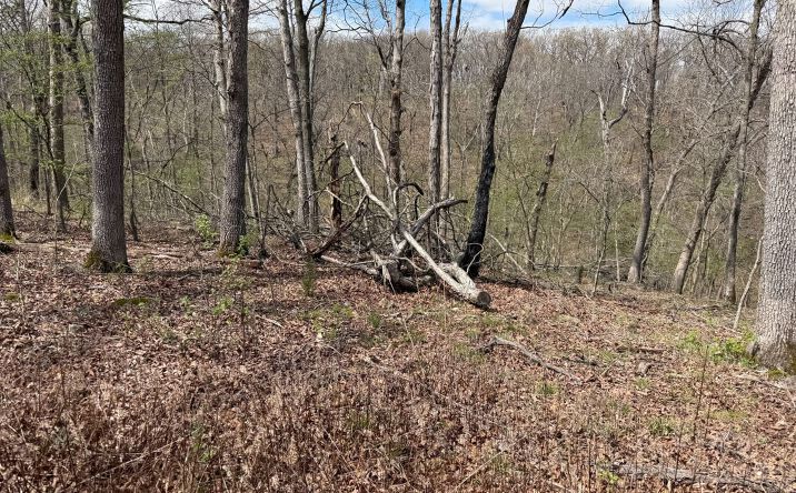Pictures of Land property located at 991 SE 976 Rd, Deepwater, MO 64740 for sales - image #1
