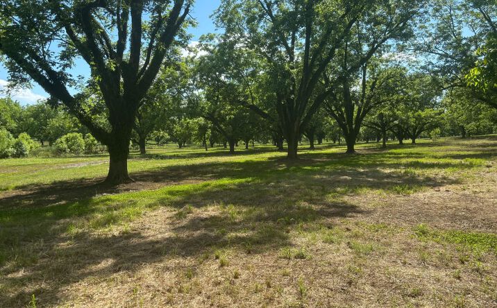 Pictures of Land property located at 00 Highway 18, Raymond, MS 39154 for sales - image #1