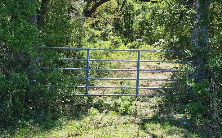 Pictures of Land property located at NE 811th St, Old Town, FL 32680 for sales - image #1