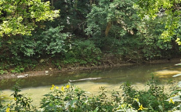Pictures of Land, Multifamily property located at TBD E Lee Hwy, Max Meadows, VA 24360 for sales - image #1
