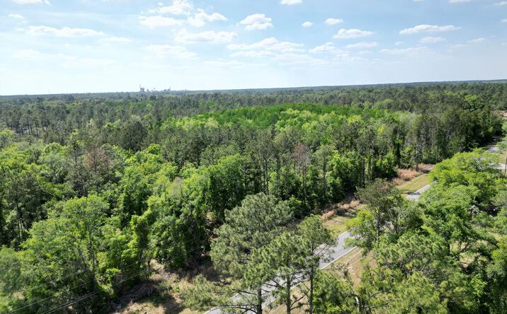 Pictures of Land property located at Whitewater, Valdosta, GA 31601 for sales - image #1