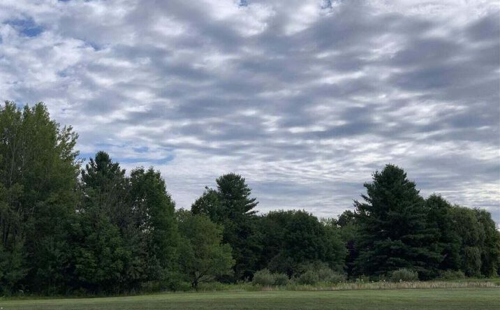 Pictures of Special Purpose property located at 5 AC W Houghton Lake Drive , 5 Acres #1, Houghton Lake, MI 48629 for sales - image #1