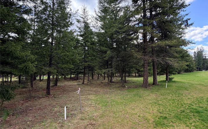 Pictures of Land property located at Lot 3 Fairview Drive, St Regis, MT 59866 for sales - image #1