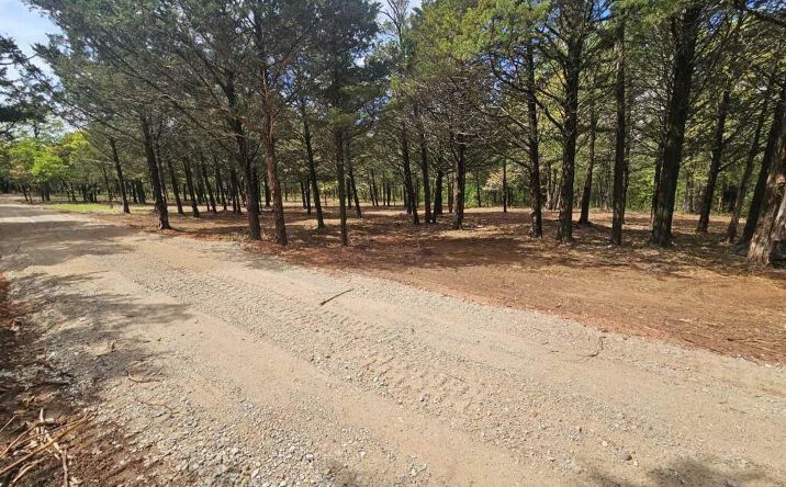 Pictures of Land property located at Lakeview Drive, Guthrie, OK 73044 for sales - image #1