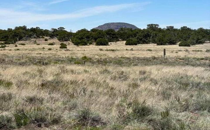 Pictures of Land property located at Xx Blue Hills Trail, Pie Town, NM 87821-0000 for sales - image #1