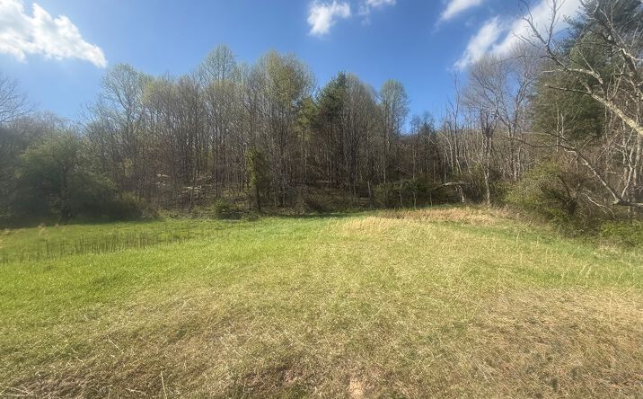 Pictures of Land, Multifamily property located at TDB Beadwood Lane, Damascus, VA 24236 for sales - image #1
