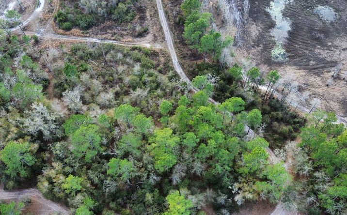Pictures of Land property located at TBD NE 128th Lane, Bronson, FL 32621 for sales - image #1