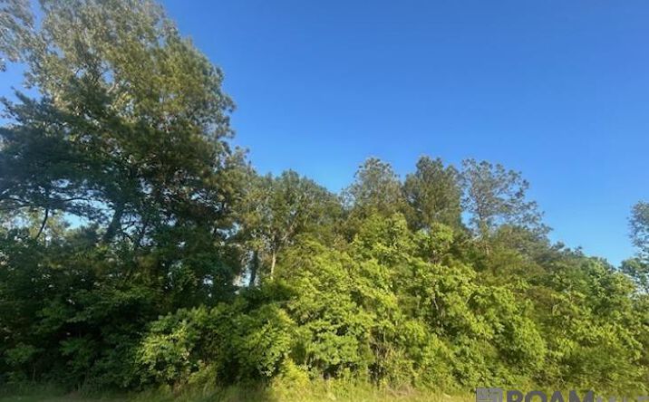 Pictures of Land property located at Lot B-4 Perrilloux Rd, Livingston, LA 70754 for sales - image #1