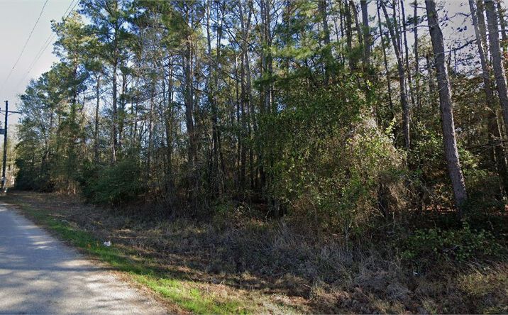 Pictures of Land property located at Coon Hollow Rd, Conroe, TX 77306 for sales - image #1