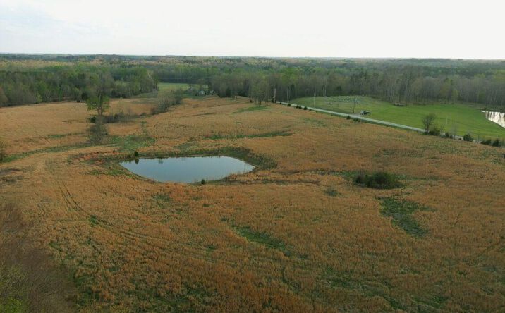 Pictures of Land property located at Tennessee 114, Hollow Rock, TN 38342 for sales - image #1