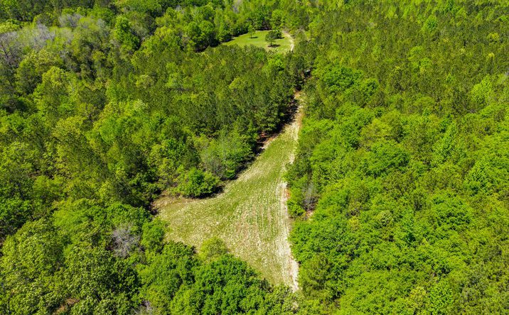 Pictures of Land property located at Wainwright Rd., Butler, GA 31006 for sales - image #1