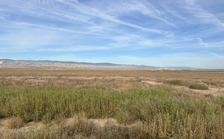 Pictures of Land property located at Gardner Field Rd, Taft, CA 93252 for sales - image #1