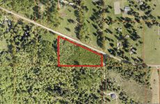 31772384