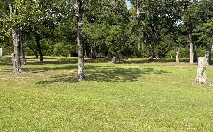 Pictures of Land property located at 12598 LA-1, Oil City, LA 71061 for sales - image #1