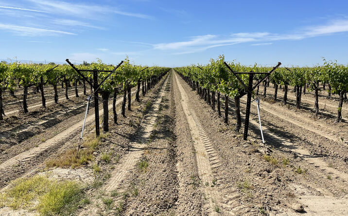 Pictures of Land property located at NWC Madera & Central/NEC Madera & Lincoln Aves., Kerman, CA 93630 for sales - image #1
