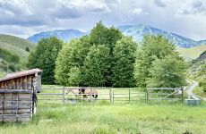 31775135