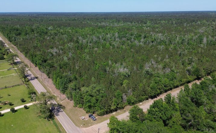 Pictures of Land property located at Tbd Turnpike Rd, Folsom, LA 70437 for sales - image #1
