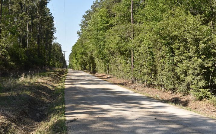Pictures of Land property located at Tbd Sullivent Rd, Loranger, LA 70446 for sales - image #1