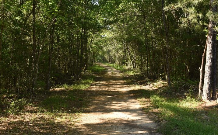 Pictures of Land property located at Tbd Oceola Rd, Loranger, LA 70446 for sales - image #1