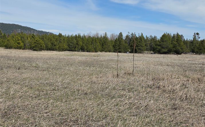 Pictures of Land property located at 107 Marion Meadows Trail, Marion, MT 59925 for sales - image #1