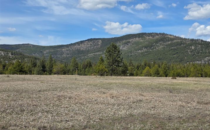 Pictures of Land property located at 115 Marion Meadows Trail, Marion, MT 59925 for sales - image #1